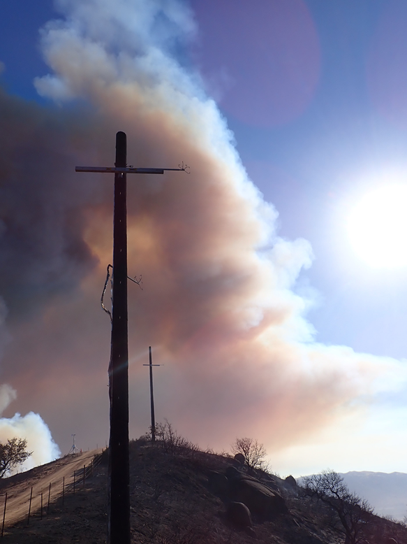 ArmorBuilt wrapped poles after canyon fire