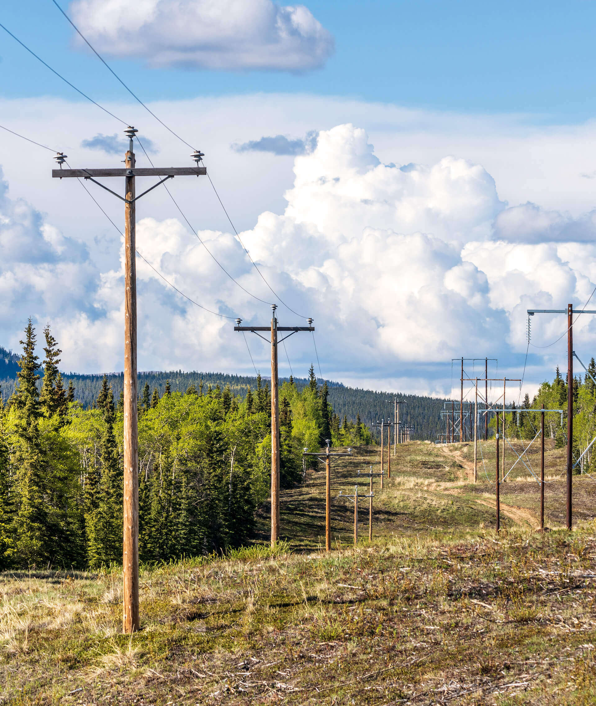 row of utility poles along open field