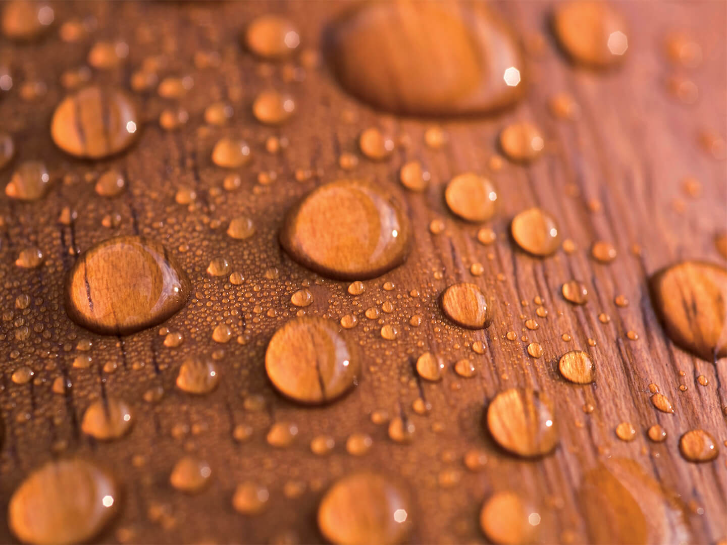 water-droplets-on-wood
