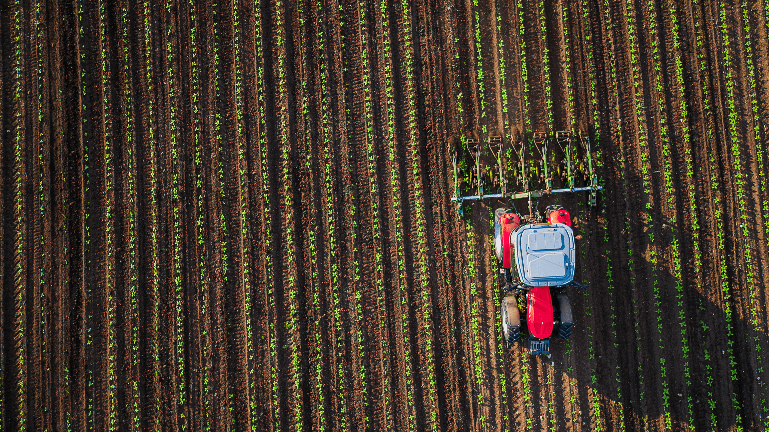 Aerial view of tractor in field