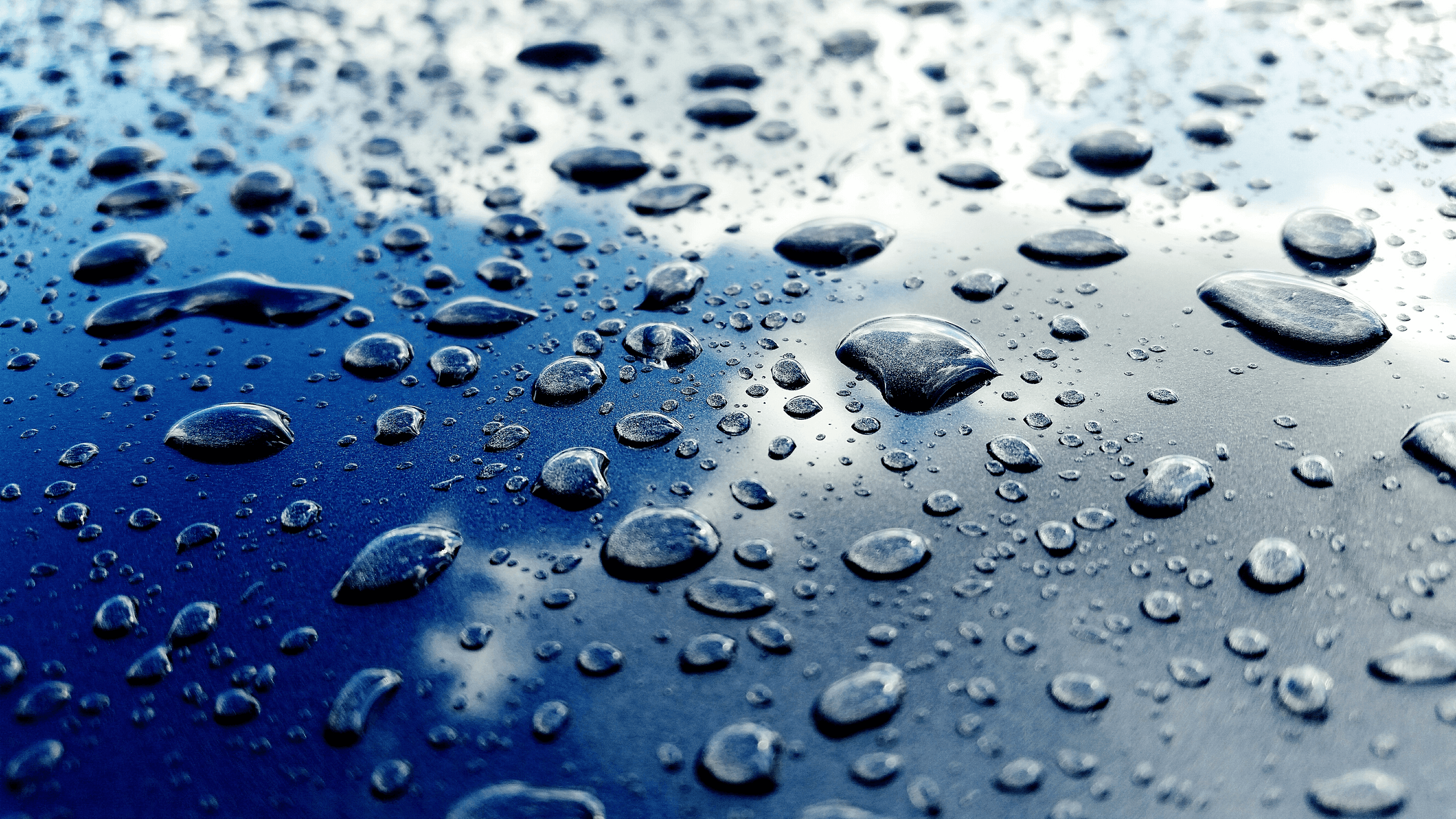 Water drops on coated surface